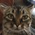 Kimberly Burton's profile image