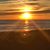 Patricia Flecker's profile image