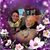 Patti Bennett- Tocci's profile image