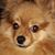 Jerry Lavender's profile image