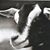 Bridget Dolan-Sullivan's profile image