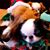 Jenny Howe's profile image