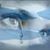 Mary Temperley Burkhart's profile image