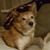 Naomi Carns's profile image
