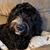 John Cozad's profile image