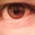 Javier Martinez Senobio Gonzalez's profile image