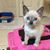 Linda Plourde's profile image