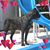 Marcus Nicolari's profile image