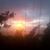 Tanvir Harun's profile image