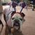 Linda May-Doyle's profile image