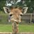 Chris Hinton's profile image