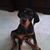 Sondra Sanford's profile image