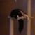 Lindy Stout's profile image