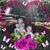 Melinda Raine-hocknell's profile image