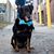 Misty Ressel Tefft's profile image