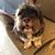 Marie Wiberg's profile image