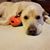 Sandy Rieckert's profile image