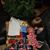 Kimberly Garey's profile image