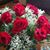 Alma Walker-Womack's profile image