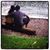 Arelis Rodriguez's profile image