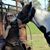 Donna Leach's profile image