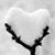 Karen Tougas's profile image