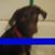 Tiffany Warden's profile image