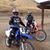 Sandy Roche-Webster's profile image