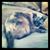 Gail Watts's profile image