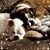 Terri Barnhill's profile image