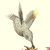 Pamela Barnes's profile image