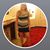 Marci Morris's profile image