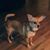 Jackie Wade's profile image