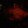 E.'s profile image