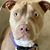 Alicia Garland Scott's profile image