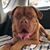 Tracy Hastings's profile image