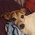 Wendy Falanga's profile image