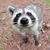 Tania Dias Vasconcelos's profile image
