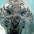 Iliana Flores's profile image