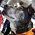 Lea Howard McKenzie's profile image