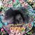 Fabiola Caviola's profile image