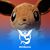Alexis Perez's profile image