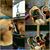 Yolanda Correa's profile image
