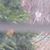 Carole West's profile image