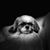 Chipn Dip's profile image