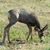 Vicki Schroeder's profile image