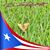 Amarilis Betancourt's profile image