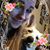 Katie Rose's profile image