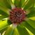 Susan Stallings Morrow's profile image