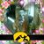 Elnora Albright's profile image